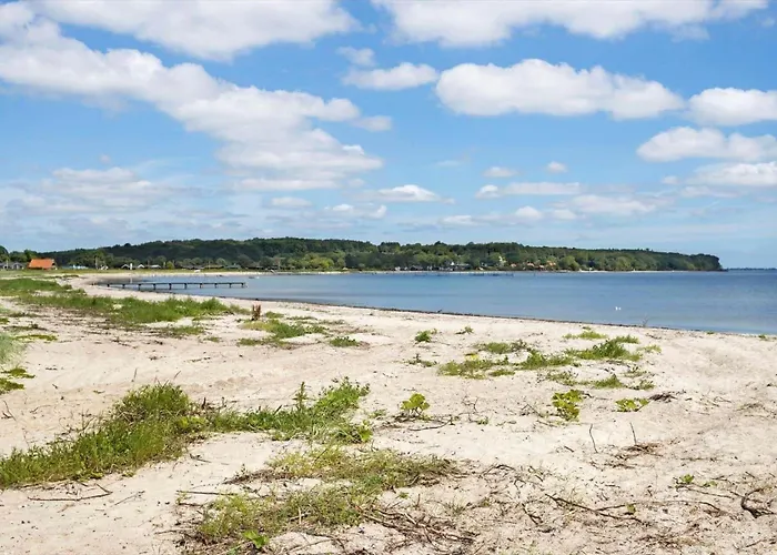 Tatil Evi Sj254-haderslev-diernaes-strandby-83